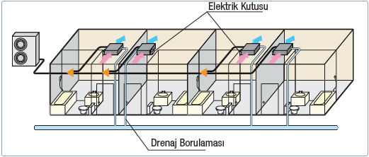 fduh konal tipi